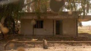 American by God&#39;s Amazing Grace