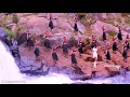 Chittu Chittu Kuruvikku Whatsapp Status