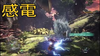 こいつカッコいいw好きだわ【MHW実況】part 7