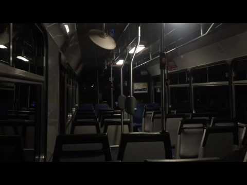 Forest Coach Lines m/o 8669 - Mercedes-Benz O405 (ZF)