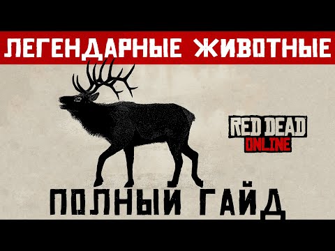 Как найти Легендарное Животное. И как его поймать. Гайд. Обновление Натуралист в Red Dead Online.