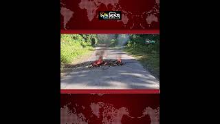 সপ্তম দিনে গড়ালো সাজেকের অবরোধ l Sajek Blockade l Seventh Day l Rangamati l Chittagong l Deepto News