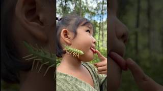 Download lagu Survival Skills: single mom with Smart Amazing idea and Useful #camping #outdoors #bushcraft mp3 Download lagu Survival Skills: single mom with Smart Amazing idea and Useful #camping #outdoors #bushcraft mp3