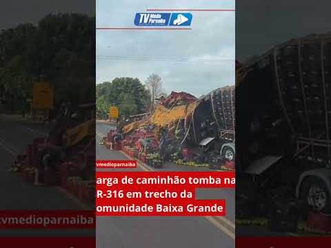 Caminhão tomba na BR-316 e população ajuda a pegar carga