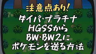 ダイパ・HGSSからBW・BW2へポケモンを送る方法！ポケシフターの使い方と注意点【第4世代→第5世代】
