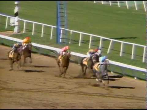 1984 Breeders' Cup Distaff