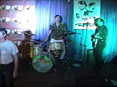 The Fleshtones - Live at Vintage Vinyl 04/04/2003