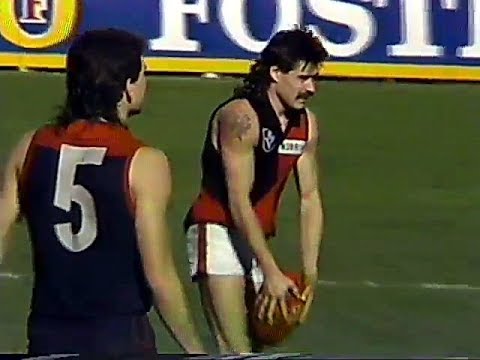 1989 Rnd 22 Melbourne V Essendon