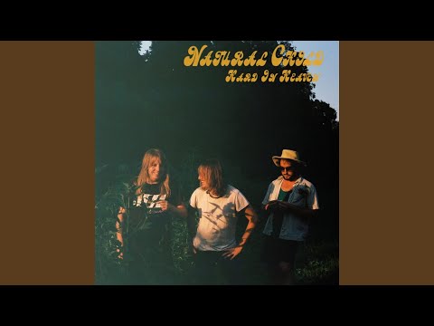 Let The Good Times Roll