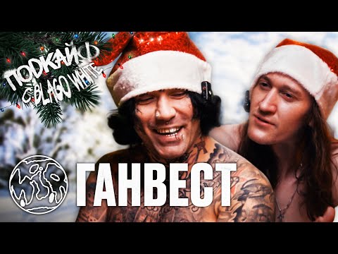 ГАНВЕСТ - в чем сила «Фа», влияние «Шнейне» и «Пепе»