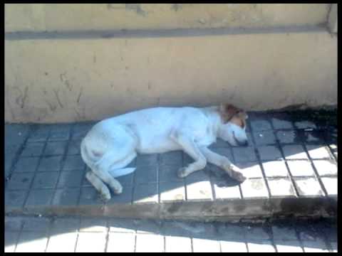 Marconiero - Obeć'o si mito