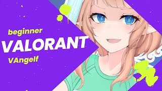 初心者リハビリVALORANT