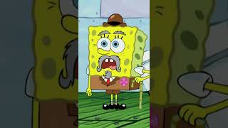 Bob Esponja | O Siri Cascudo servindo Cachorros-Quentes?! 🌭 #Shorts
