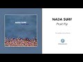 Nada Surf - "Fruit Fly" (Official Audio)