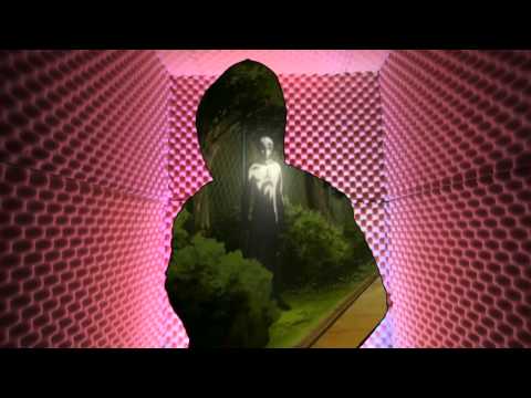 青木ヶ原 aokigahara - アーカード (VVVVVIDEO)