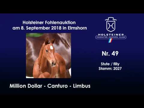 Holsteiner Fohlenauktion | Nr. 49 v. Million Dollar - Canturo