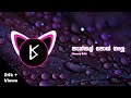 Pansal Poth Nalu Remix රන් කෙවිට Hoomyofficial Visualizer By King Viz