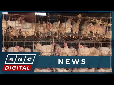 DA lifts ban on Belgium, France poultry ANC
