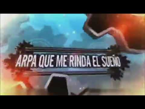 Arpa Viajera en la voz de Frank de Apure