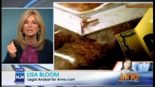 Jodi Arias Trial. Legal Analysis with Federal Criminal Defense Attorney Nishay Sanan 1/8/13