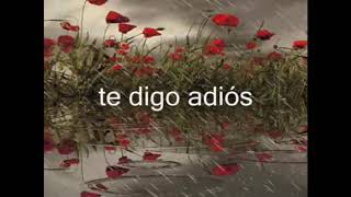 Sin Bandera... Adios.😢😢