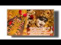 Malataj Meldi Ma Gujarati Whatsapp Status Meldi Ma 4k Hd Status Meldi Ma Trending Video