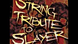 Disciple - Slayer String Tribute