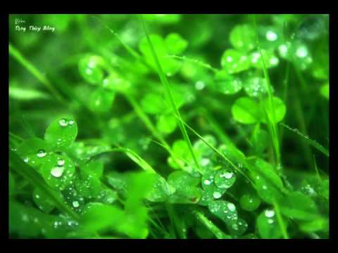 Thể hiện bởi Thủy Bông