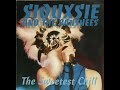 Siouxsie And The Banshees The Sweetest Chill – Live at the Riviera Theatre, Chicago, 5 24 86 subtitu