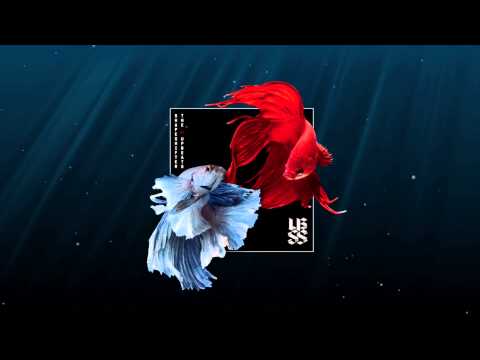 4. Shapeshifter vs The Upbeats [SSXUB] | Aeon Night