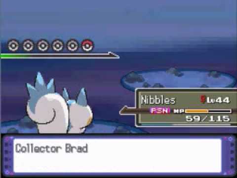 Pachirisu Only Run - Route 214