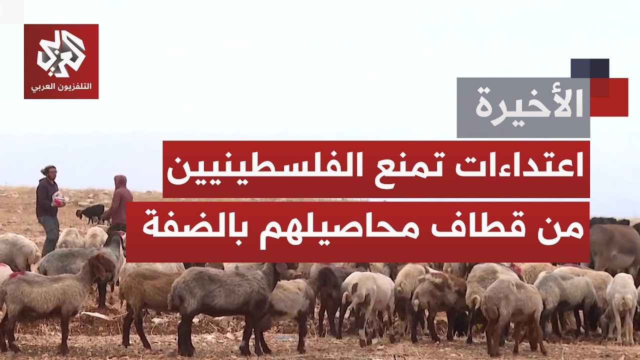 عنف متصاعد للمستوطنين تحت غطاء حماية جيش الاحتلال.. هجمات لا تتوقف وتحذيرات م