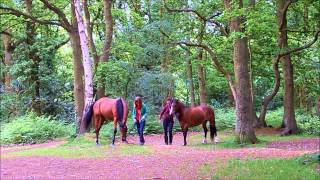 Forever 'till the end of time.