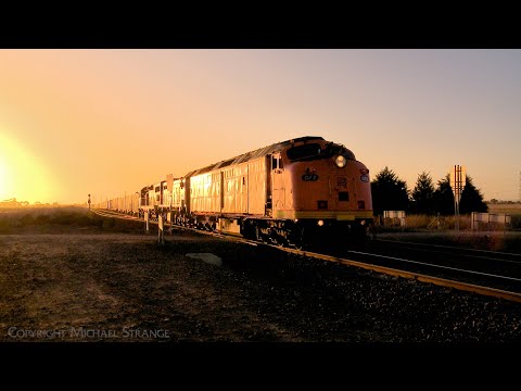 7922V SCT / SBR Dooen Container Train At Sunset With CLF2 X31 C501 (7/3/2024) - PoathTV Railways