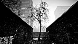Music video thumbnail preview for Woods of Desolation - Solitude (Part II) by Woods of Desolation