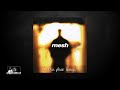 Mesh - I Dont Think They Know