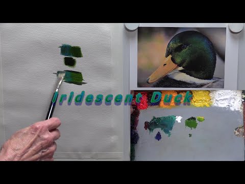 Quick Tip 321 - Iridescent Duck