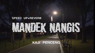 Download lagu Panji Penceng - Pingin tak lalekke Kenangan Ro Kowe (Speed Up   Reverb) | Lirik Lagu mp3