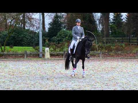 Topsportgala Tilburg 2015 - Britney van Herk