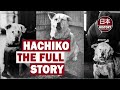 Hachiko The Full Story Of A Loyal Dog AI Colorization Real Bark
