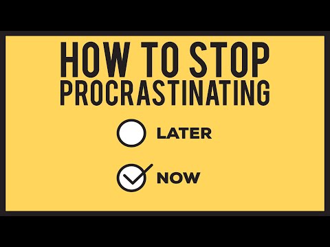How To Overcome Procrastination | Petr Ludwig | Modern Wisdom Podcast 197
