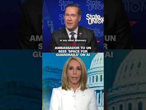Ambassador to UN sees ‘space for guardrails’ on AI