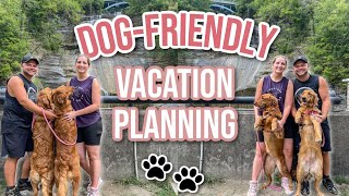 How To Plan A Dog Friendly Vacation