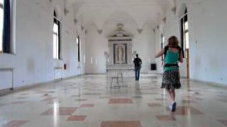 preview picture of video 'Bruce Nauman: Venice Biennale 2009'
