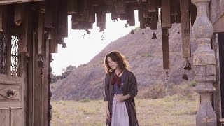 Superfly - The Bird Without Wings