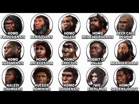 The Most Mysterious Ancient Humans Explained