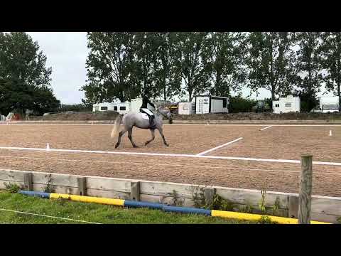 Zara Thomlinson & Sparrow Brigade - Intro 4 - 68.46% - 1st Place