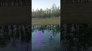 Download lagu #selflove #duet #onthisday #love #xaniamonet #aktifita #liburan #liriklagu #storywa #liriklagu mp3