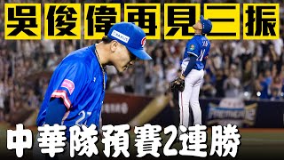 [分享] 吳俊偉再見三振影片