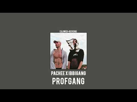PACHEE X IBBIGANG - PROFGANG (slowed + reverb)